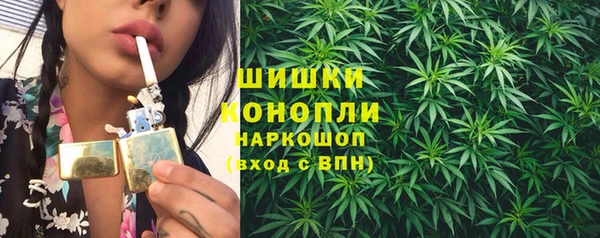 винт Арсеньев