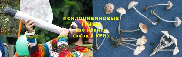 винт Арсеньев