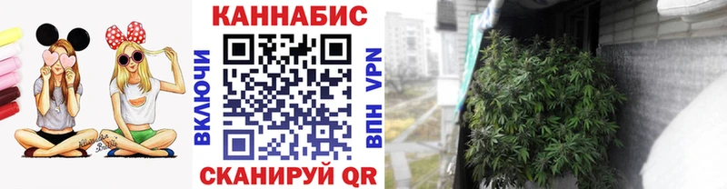 Марихуана OG Kush  Суворов 